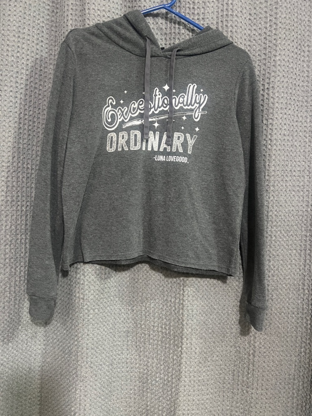 Exceptionally Ordinary Gray Hooded Women's Sweatshirt ⚡️⚡️